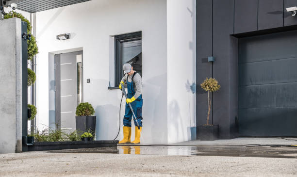 Best Solar Panel Cleaning  in Talty, TX